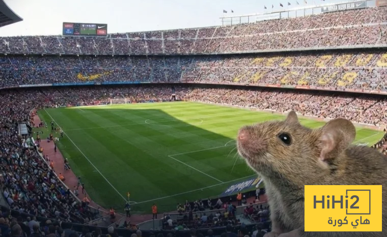 صور.. الفئران تغزو كامب نو!!